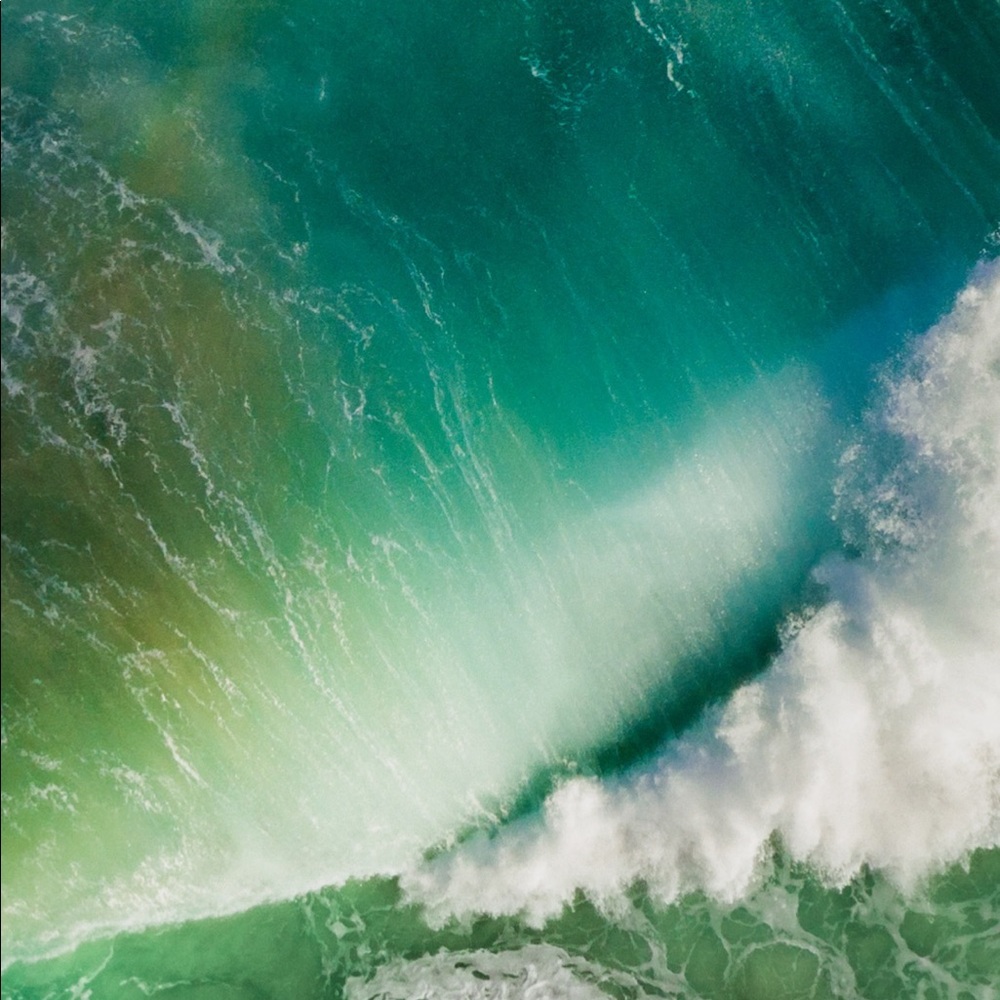 Meet your Posher, Sean